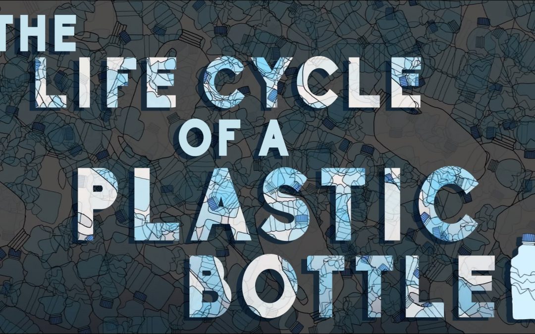 WHAT REALLY HAPPENS TO THE PLASTIC YOU THROW AWAY